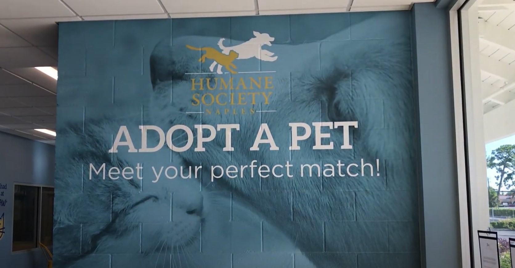 Virtual Tour of Humane Society Naples von Arx Adoption Center